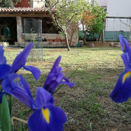 Apartments Gorka Vodice Zewnętrze zdjęcie