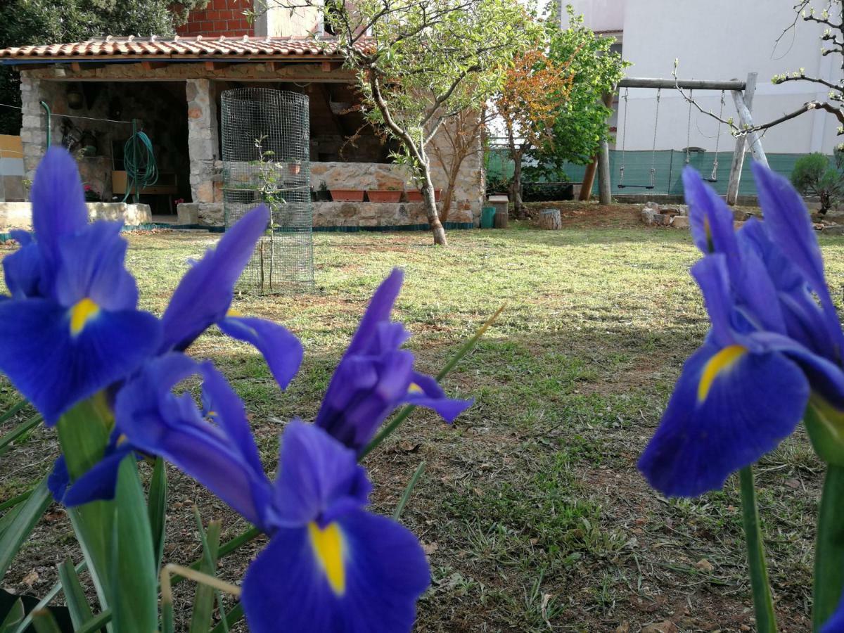 Apartments Gorka Vodice Zewnętrze zdjęcie